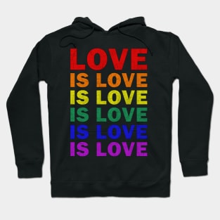 LGBT - Love is Love Hoodie